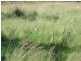 Lot 144 Reinke Road, Haden QLD 4353