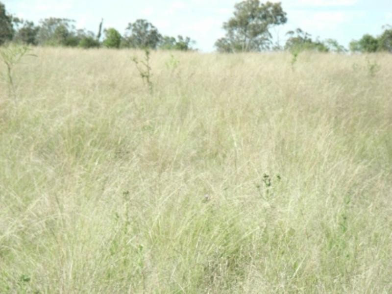 Lot 144 Reinke Road, Haden QLD 4353