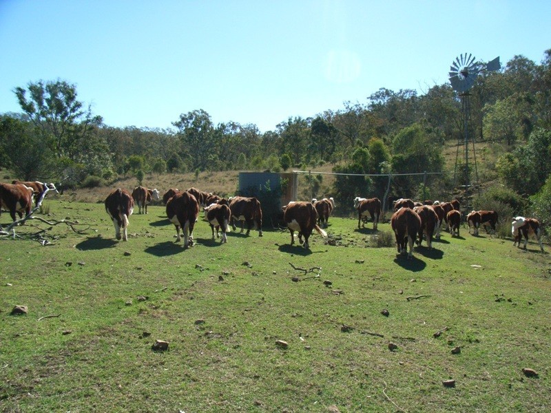 Lot 144 Reinke Road, Haden QLD 4353