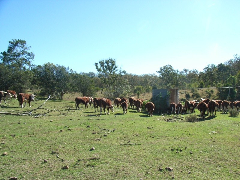 Lot 144 Reinke Road, Haden QLD 4353