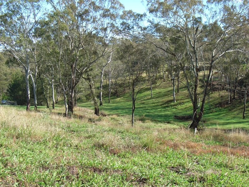 100 Geddes Road, Hodgson Vale QLD 4352