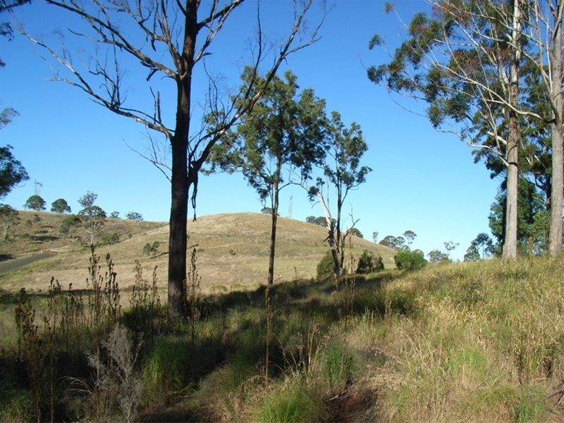 23 Forest Drive, Hampton QLD 4352