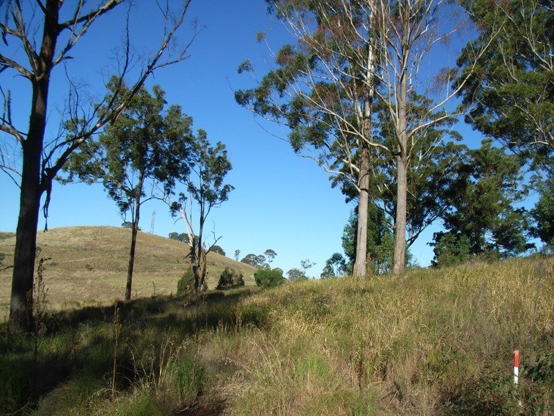 23 Forest Drive, Hampton QLD 4352