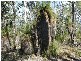 Lot 1 Kooralgin – Mount Binga Road, Cooyar QLD 4402