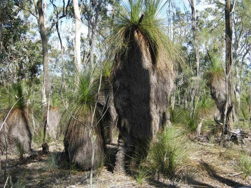 Lot 1 Kooralgin – Mount Binga Road, Cooyar QLD 4402