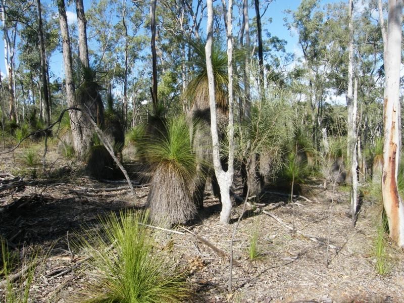 Lot 1 Kooralgin – Mount Binga Road, Cooyar QLD 4402