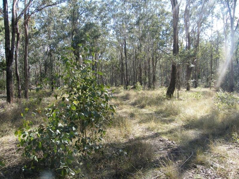 Lot 1 Kooralgin – Mount Binga Road, Cooyar QLD 4402