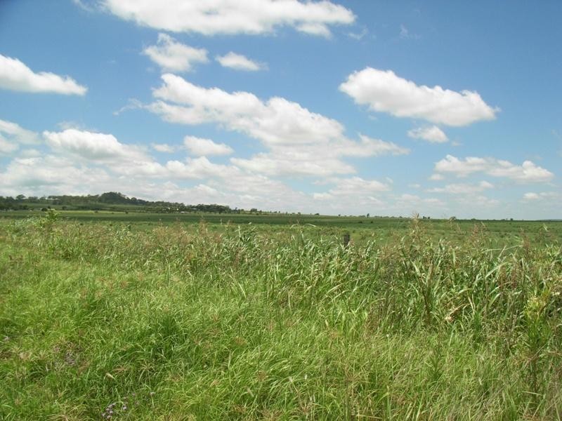 22 Allports Road, Wyreema QLD 4352