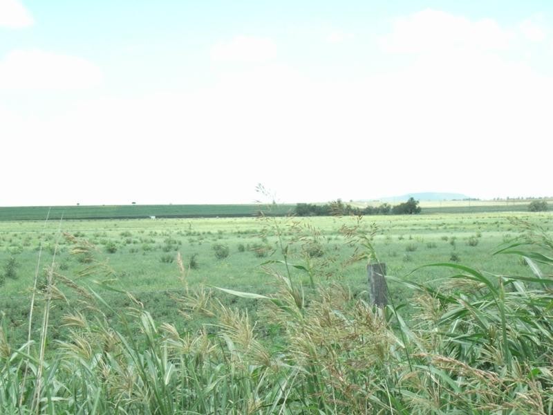 22 Allports Road, Wyreema QLD 4352