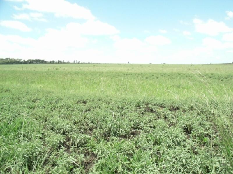 22 Allports Road, Wyreema QLD 4352