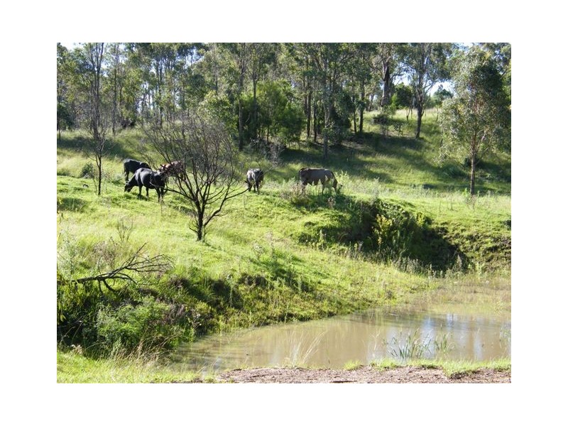 65 Jones Gully Road, Crows Nest QLD 4355