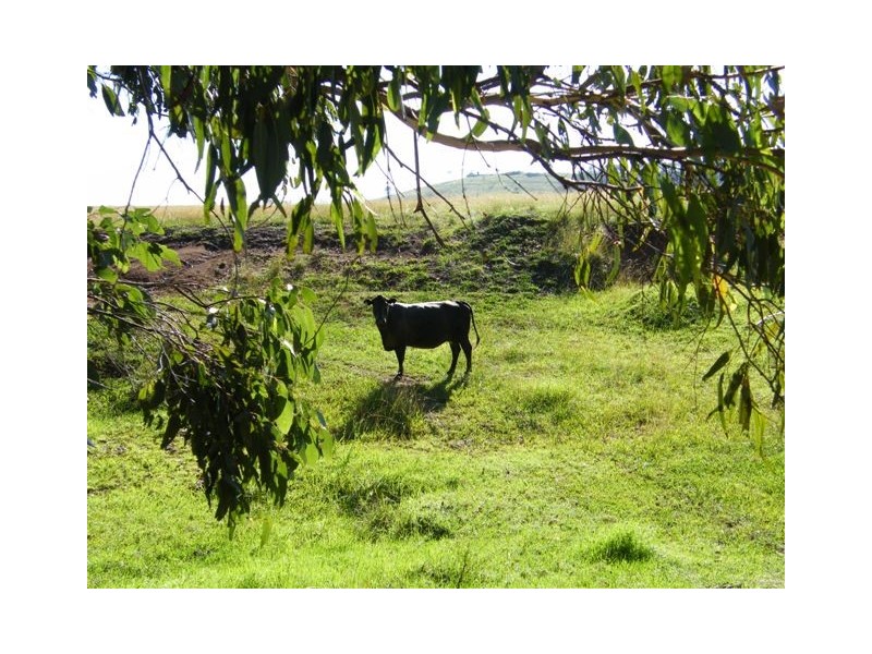 65 Jones Gully Road, Crows Nest QLD 4355