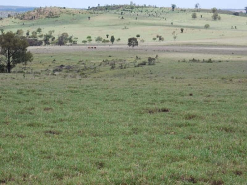 1947 Jackson Road, Wandoan QLD 4419