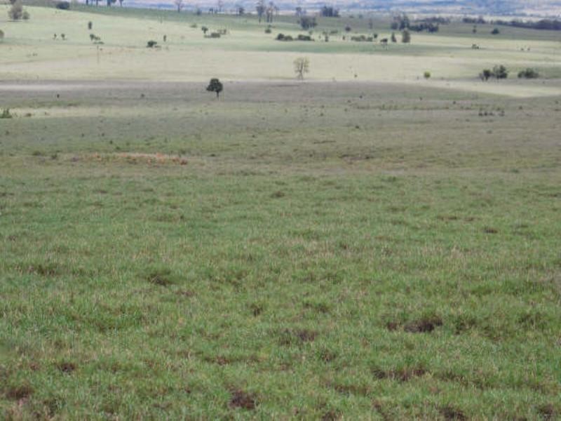 1947 Jackson Road, Wandoan QLD 4419