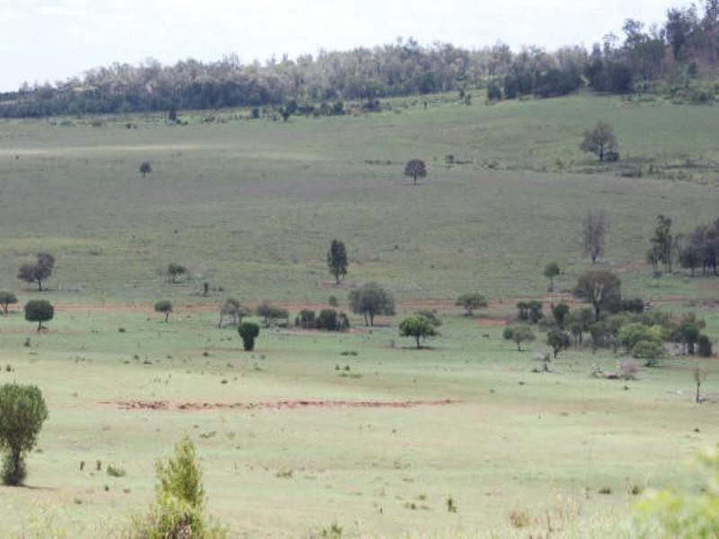 1947 Jackson Road, Wandoan QLD 4419