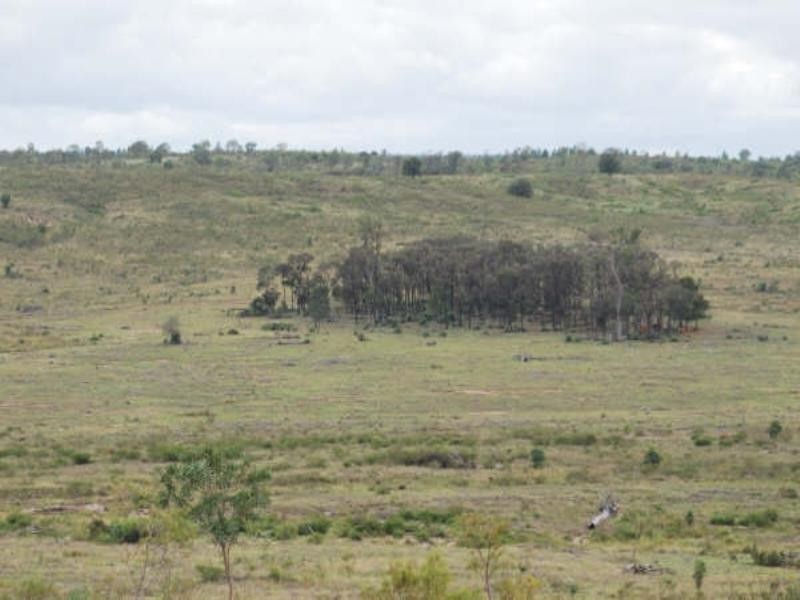 1947 Jackson Road, Wandoan QLD 4419