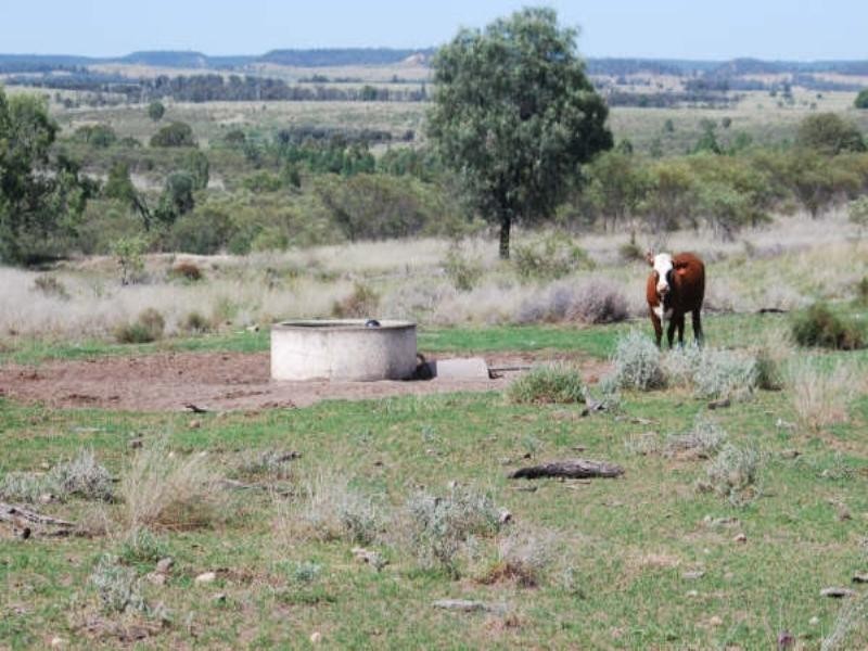 1947 Jackson Road, Wandoan QLD 4419