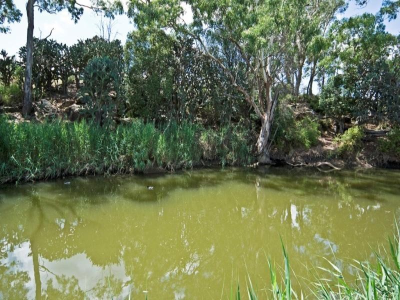 190 Willis Road, Meringandan West QLD 4352