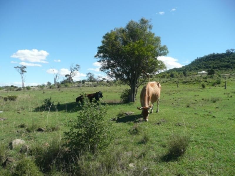 507 Yalangur-Lilyvale Road, Meringandan West QLD 4352