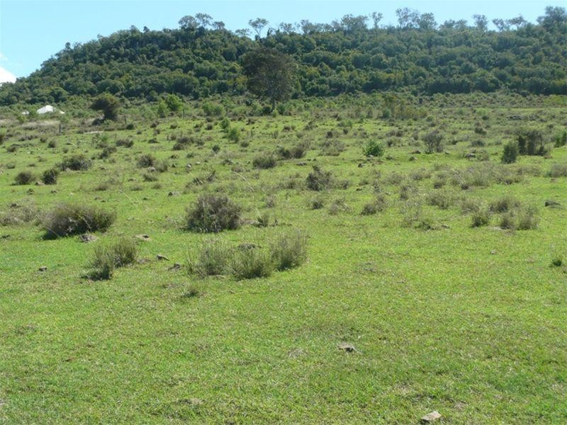 507 Yalangur-Lilyvale Road, Meringandan West QLD 4352