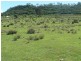 507 Yalangur-Lilyvale Road, Meringandan West QLD 4352