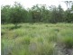 Lot 55 Kahler Road, Yarranlea QLD 4356