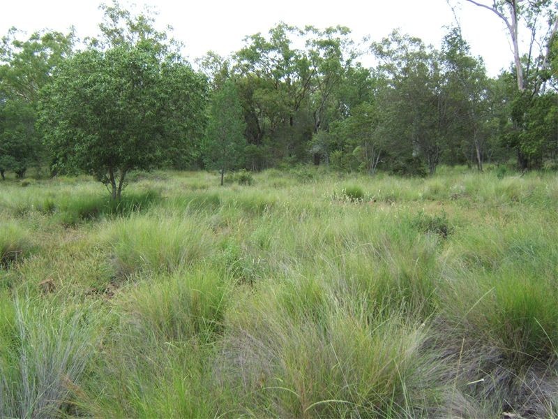 Lot 55 Kahler Road, Yarranlea QLD 4356
