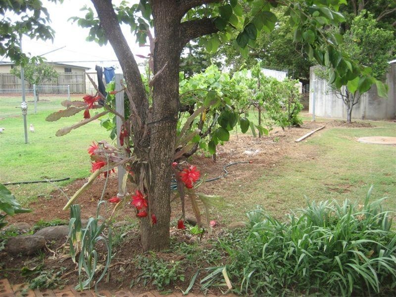 41 Holly Avenue, Highfields QLD 4352