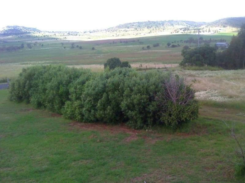 115 Glencoe Yalangur Road, Meringandan West QLD 4352
