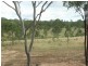 Lot 3 Groomsville Road, Geham QLD 4352