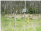 70 Pioneer Road, Geham QLD 4352