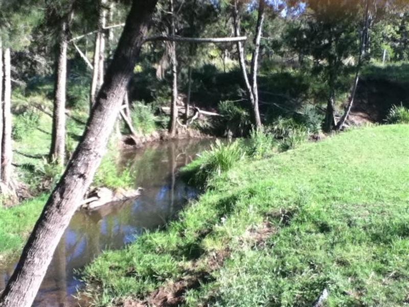 64 Puschmann Road, Geham QLD 4352