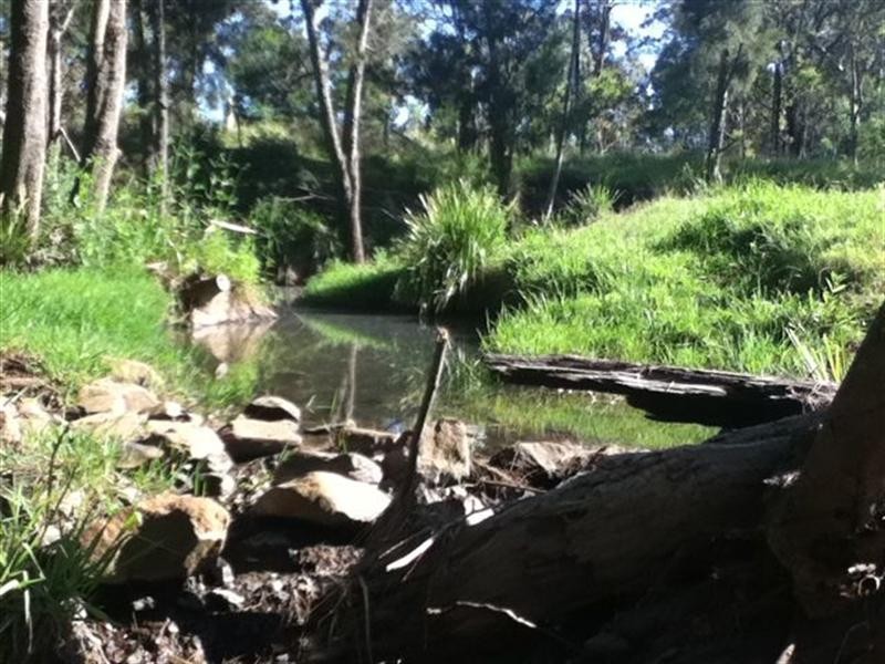 64 Puschmann Road, Geham QLD 4352