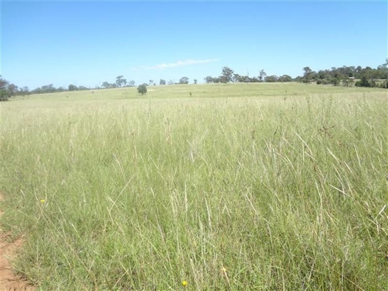 L169 Hill Road, Groomsville QLD 4352