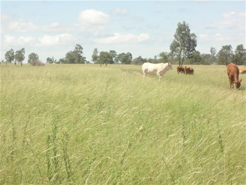 L169 Hill Road, Groomsville QLD 4352