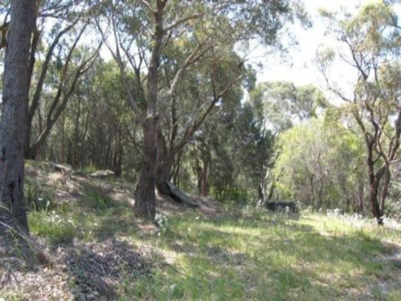 16 Foreman Drive, Barden Ridge NSW 2234