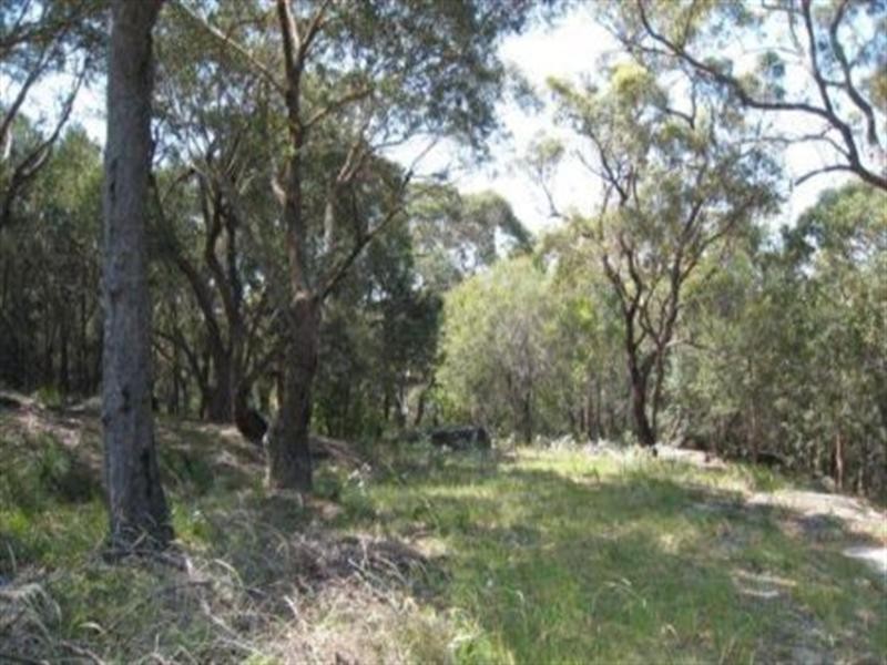 16 Foreman Drive, Barden Ridge NSW 2234