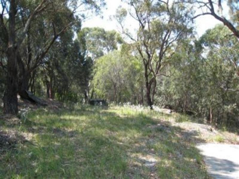 16 Foreman Drive, Barden Ridge NSW 2234