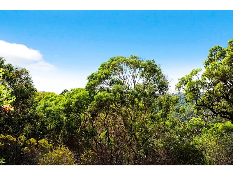 31 Thomas Mitchell Drive, Barden Ridge NSW 2234