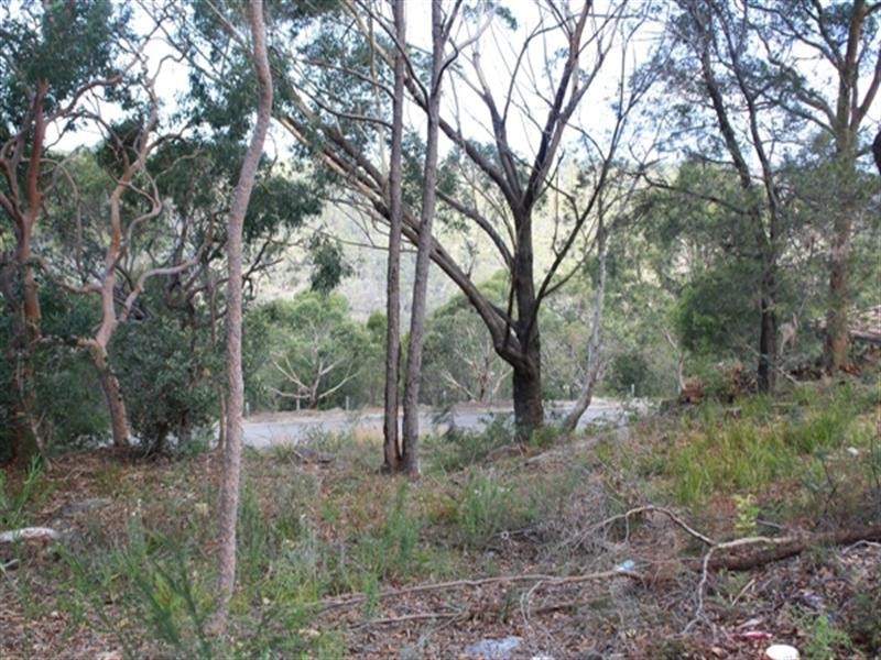 Barden Ridge NSW 2234