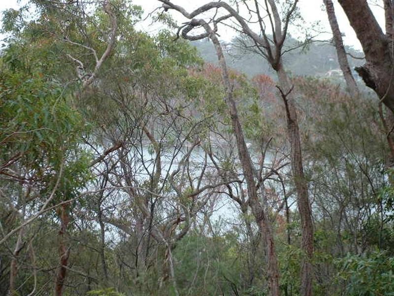 2/24 Burley Close, Illawong NSW 2234