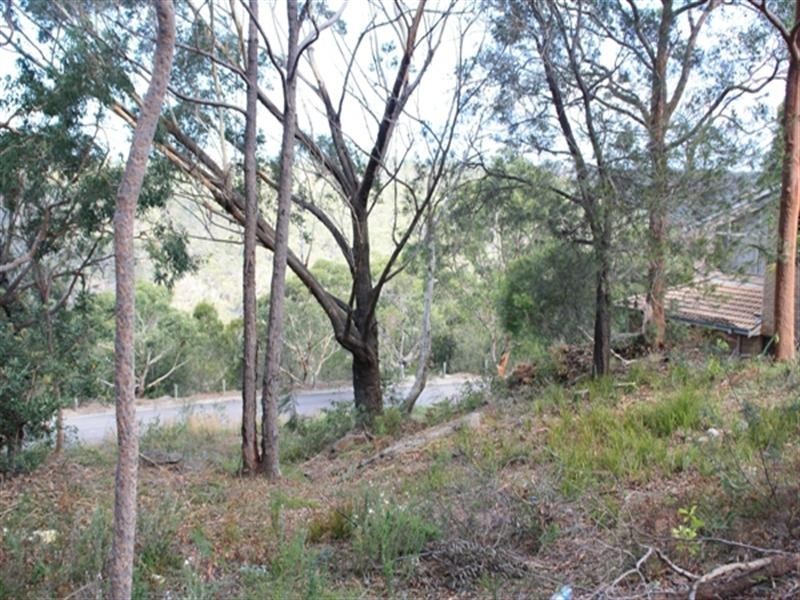 Barden Ridge NSW 2234