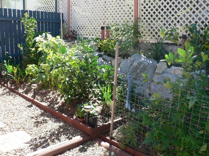 Boyne Island QLD 4680