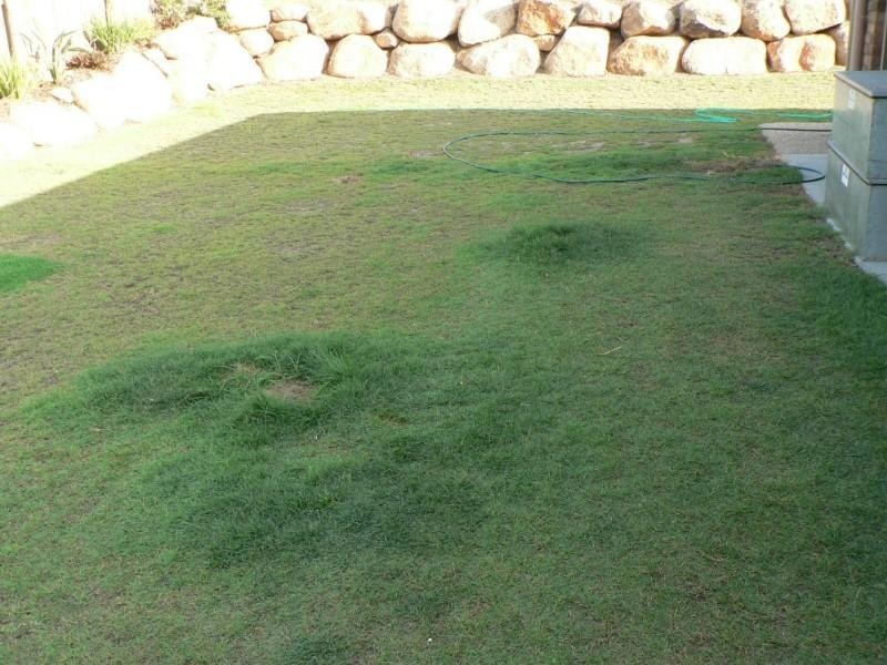 Boyne Island QLD 4680