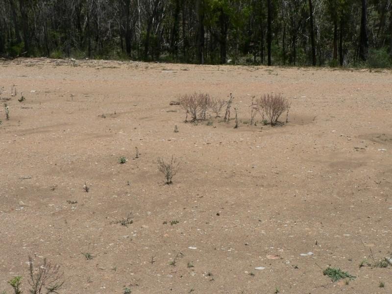 Tannum Sands QLD 4680