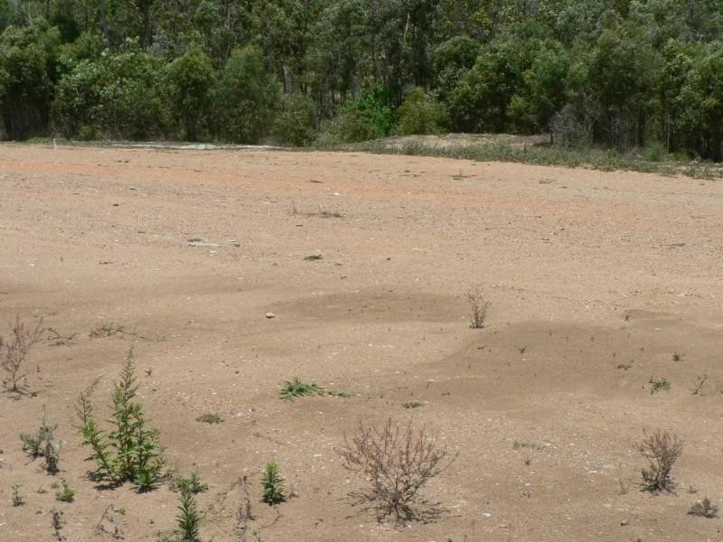 Tannum Sands QLD 4680