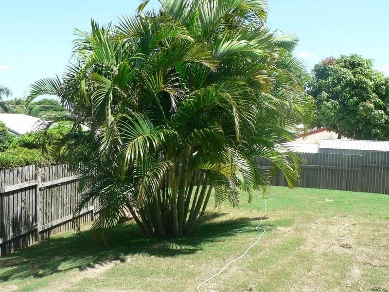 Tannum Sands QLD 4680