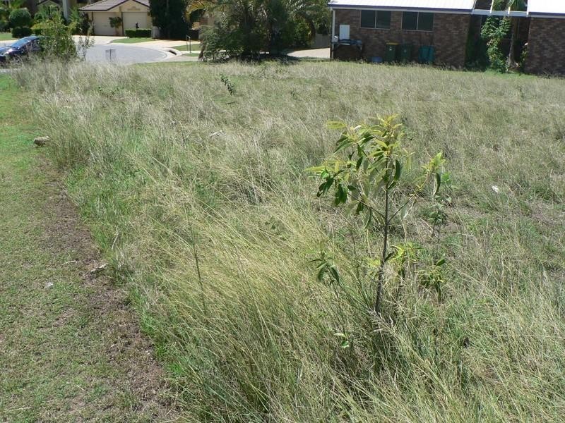 Tannum Sands QLD 4680