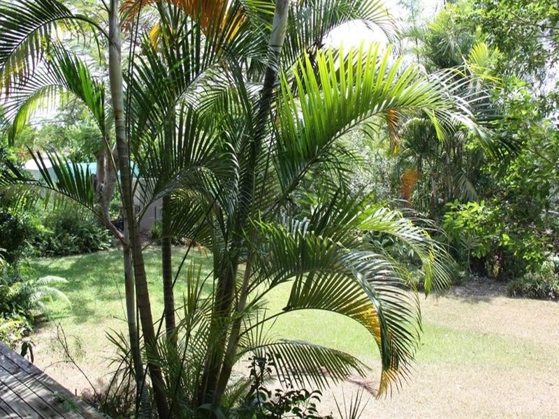 43 Amaroo Street, Boyne Island QLD 4680