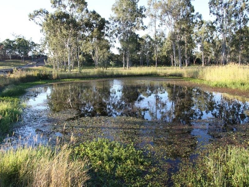 1 Ronald Crescent, Benaraby QLD 4680